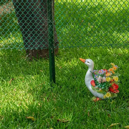 Ira's House Vakantiehuis Sami (Kefalonia)